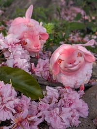 Image 1 of Baalossom