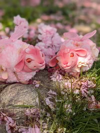 Image 5 of Baalossom