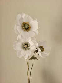 Image 3 of Japanese Anemone Paper Flower Tutorial