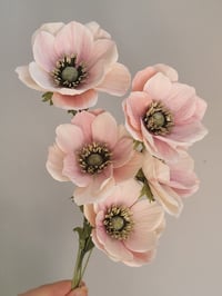 Image 5 of Japanese Anemone Paper Flower Tutorial