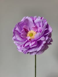 Image 2 of Open Ranunculus Paper Flower Tutorial