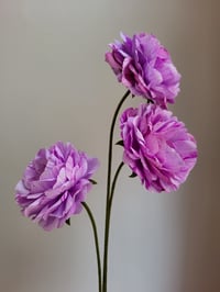 Image 3 of Open Ranunculus Paper Flower Tutorial