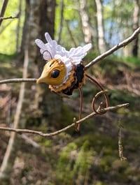 Image 1 of Long-Tailed Honeydrones