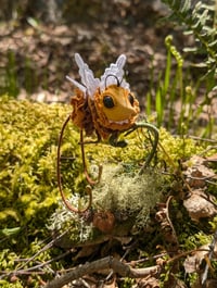 Image 2 of Long-Tailed Honeydrones
