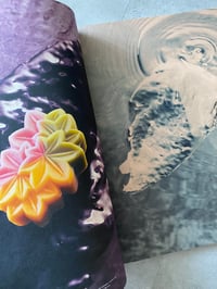 Image 4 of Pleasure Garden Issue 6