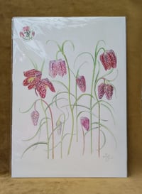Image 4 of NEW! - A3 Giclée Photo Rag  Botanical Prints