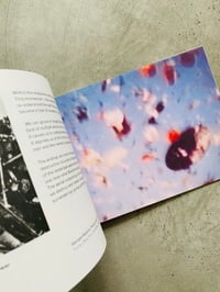 Image 4 of Airdrop by JENNIFER GABRYS