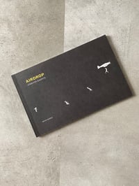 Image 1 of Airdrop by JENNIFER GABRYS