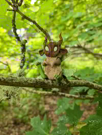 Image 2 of Sycamore Fairies