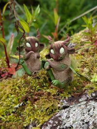 Image 3 of Sycamore Fairies