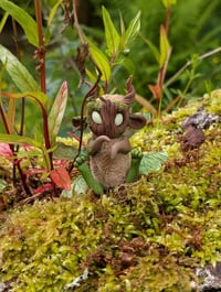 Image 4 of Sycamore Fairies