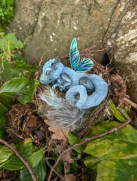 Image 1 of Twilight Dragon Hatchling
