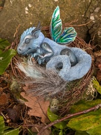 Image 3 of Twilight Dragon Hatchling