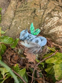 Image 2 of Twilight Dragon Hatchling