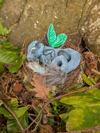 Image 4 of Twilight Dragon Hatchling