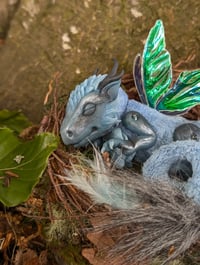 Image 5 of Twilight Dragon Hatchling