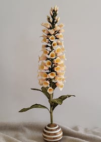 Image 3 of Paper Flower Foxglove - Peach/ Pink