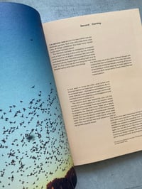 Image 4 of Mother Tongue Issue 5