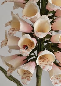 Image 2 of Paper Flower Foxglove - Ivory/ Pink