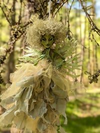 Image 1 of Wind Dancers