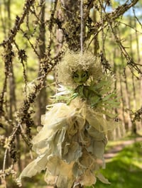 Image 4 of Wind Dancers
