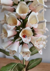 Image 4 of Paper Flower Foxglove - Ivory/ Pink