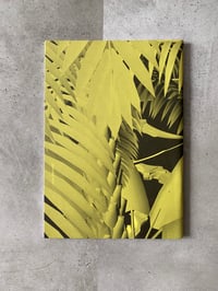 Image 7 of REALITIES & THE RITUALS OF THE UPSIDE DOWN