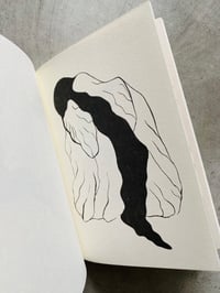 Image 3 of Monument for a Hummingbird by Murat Cem Mengüç