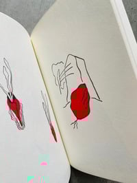 Image 5 of Monument for a Hummingbird by Murat Cem Mengüç