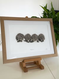Image 2 of 'Hedgerow' Framed Limited Edition Print