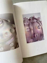 Image 5 of THE WHITE REVIEW No. 33