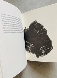 Image 4 of A Promenade at Home by Sevinç Çalhanoğlu