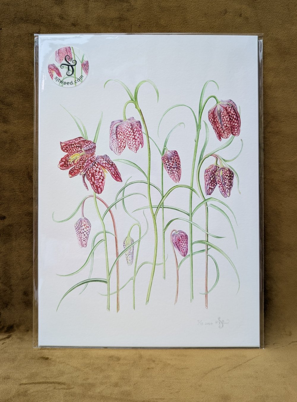 Image of A4 Special Edition Signed & Numbered Hemp Prints