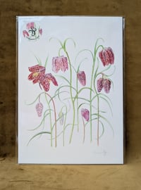 Image 4 of A4 Special Edition Signed & Numbered Hemp Prints