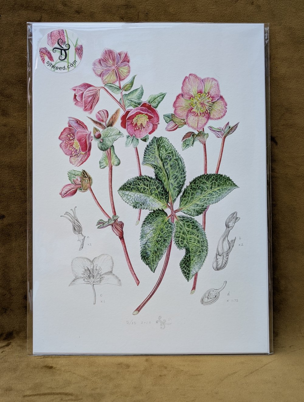 Image of A4 Special Edition Signed & Numbered Hemp Prints