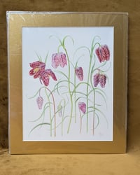 Image 4 of NEW! - Gold Mounted A4 Special Edition Signed & Numbered Hemp Giclée Prints