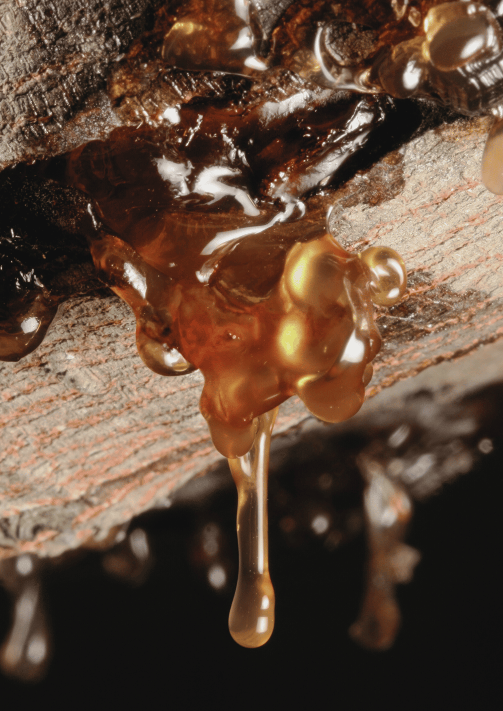 Image of Black Nectar Signature Candle