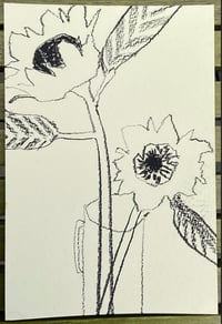 Image 2 of Postcard size sunflower drawing 1