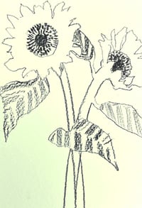 Image 1 of Postcard size sunflower drawing 2
