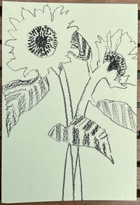 Image 2 of Postcard size sunflower drawing 2
