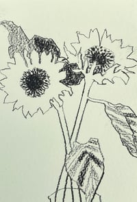 Image 1 of Sunflower postcard drawing 3