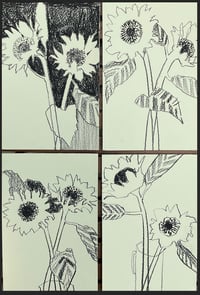 Image 2 of Postcard sunflower drawing 4