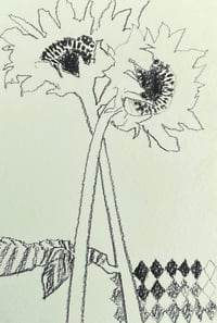 Image 1 of Sunflower postcard drawing 6