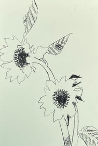 Image 1 of Sunflower postcard drawing 7