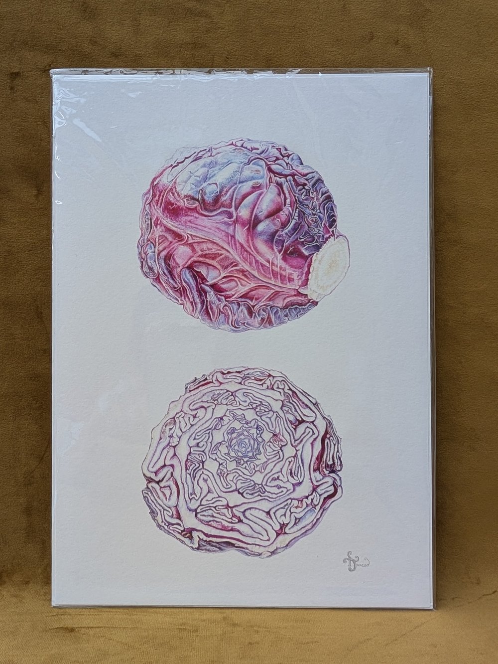 Image of A4 Red Cabbage Giclée Print