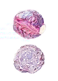 Image 2 of NEW! - A4 Red Cabbage Giclée Print