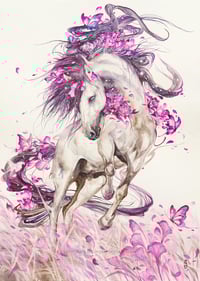 Image 1 of WHISPERS OF FREEDOM