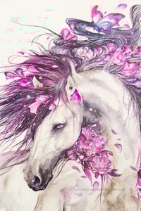 Image 2 of WHISPERS OF FREEDOM
