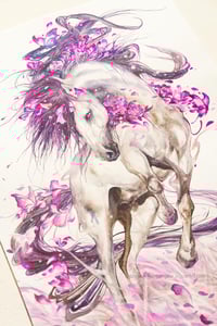 Image 4 of WHISPERS OF FREEDOM