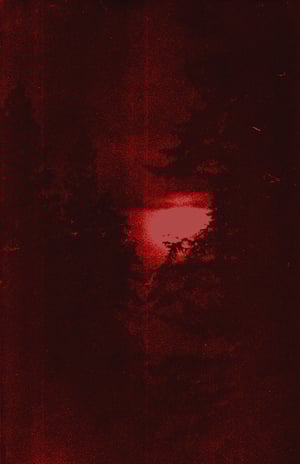 Image of SPECTRAL FIRS - THE MIST CLOAKED KINGDOM OF THE NORTH